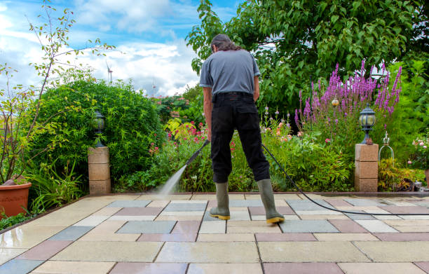 Best Roof Cleaning and Mildew Removal in Deerfield, IL